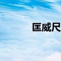 匡威尺码表女鞋（匡威尺码表）