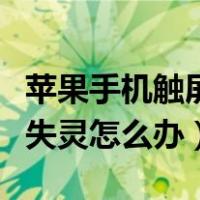 苹果手机触屏失灵怎么办乱跳（苹果手机触屏失灵怎么办）