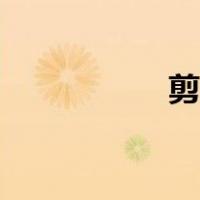 剪纸猪图片（剪纸猪）