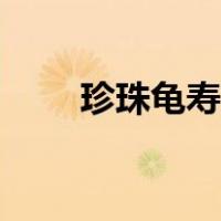珍珠龟寿命和长多大（珍珠龟寿命）