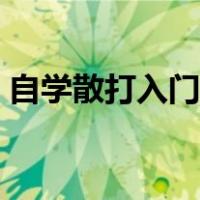 自学散打入门训练视频（自学散打入门训练）