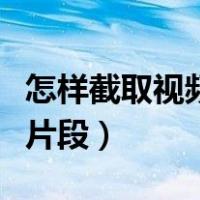 怎样截取视频片段做成表情包（怎样截取视频片段）
