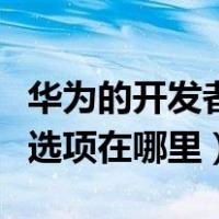 华为的开发者选项在哪里设置（华为的开发者选项在哪里）