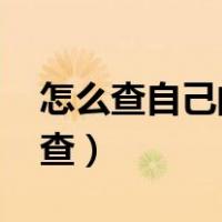 怎么查自己的邮箱号（手机qq邮箱号码怎么查）