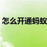 怎么开通蚂蚁借呗步骤（怎么开通蚂蚁借呗）