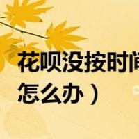 花呗没按时间还款会怎么样（花呗未按时还款怎么办）