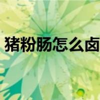 猪粉肠怎么卤好吃（猪肠碌粉皮的做法大全）