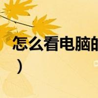 怎么看电脑的型号和配置（怎么看电脑的型号）