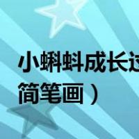 小蝌蚪成长过程简笔画方法（小蝌蚪成长过程简笔画）