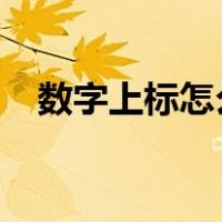 数字上标怎么打2023（数字上标怎么打）