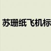 苏珊纸飞机标准折法（苏珊纸飞机折法图解）