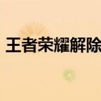 王者荣耀解除禁言bug（王者荣耀解除禁言）
