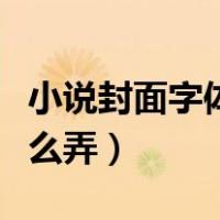 小说封面字体怎么弄的手机（小说封面字体怎么弄）