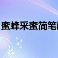 蜜蜂采蜜简笔画彩色 可爱（蜜蜂采蜜简笔画）