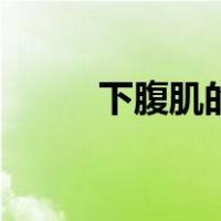 下腹肌的练法（下腹肌锻炼方法）