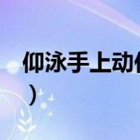 仰泳手上动作6个诀窍（仰泳的动作要领口诀）