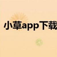 小草app下载安卓版本（小草app官网下载）