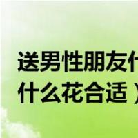 送男性朋友什么花合适不是对象（送男性朋友什么花合适）