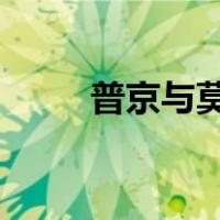 普京与莫迪通电话 这是什么情况？