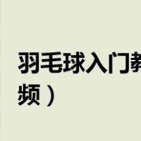 羽毛球入门教学视频全集（羽毛球入门教学视频）