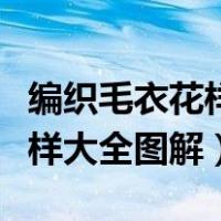编织毛衣花样大全图解教程视频（编织毛衣花样大全图解）