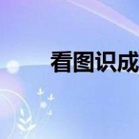 看图识成语答案大全（看图识成语）