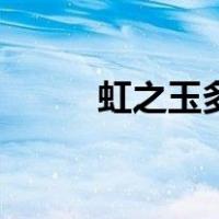 虹之玉多肉好养吗（虹之玉多肉）