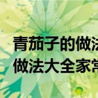 青茄子的做法大全家常红烧才好吃（青茄子的做法大全家常）
