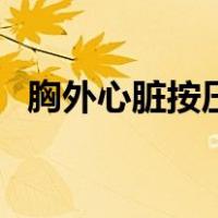 胸外心脏按压部位为（胸外心脏按压部位）