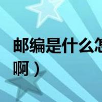 邮编是什么怎么填啊广东（邮编是什么怎么填啊）