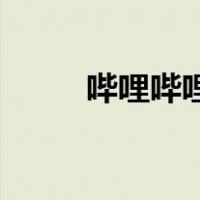 哔哩哔哩升级方法（bilibili升级）