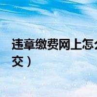违章缴费网上怎么交罚单编号怎么查询（违章缴费网上怎么交）