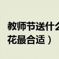 教师节送什么花最合适女老师（教师节送什么花最合适）