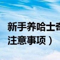 新手养哈士奇注意事项有哪些（新手养哈士奇注意事项）