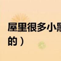 屋里很多小黑虫子会飞（屋里好多小飞虫黑色的）