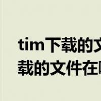tim下载的文件在手机什么位置在哪（tim下载的文件在哪里）