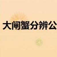 大闸蟹分辨公母图片（大闸蟹怎么分辨公母）
