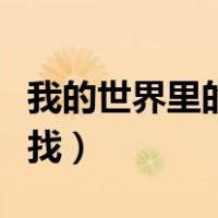 我的世界里的宝藏怎么找（我的世界宝藏怎么找）