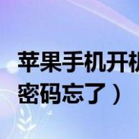 苹果手机开机密码忘了打不开（苹果手机开机密码忘了）