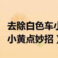 去除白色车小黄点妙招不伤车漆（去除白色车小黄点妙招）