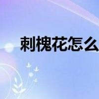 刺槐花怎么吃比较安全（刺槐花怎么吃）