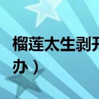 榴莲太生剥开了怎么办（榴莲不熟打开了怎么办）