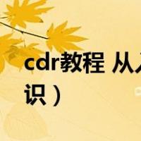 cdr教程 从入门到精通（cdr教程入门基础知识）