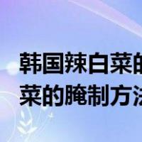 韩国辣白菜的腌制方法和配料比例（韩国辣白菜的腌制方法）