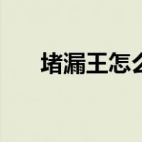 堵漏王怎么用效果好（堵漏王怎么用）
