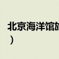 北京海洋馆旅游攻略（北京海洋馆一日游攻略）
