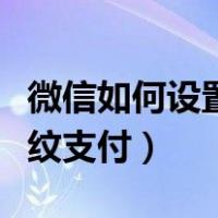 微信如何设置指纹支付方式（微信如何设置指纹支付）