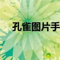 孔雀图片手绘（孔雀图片绘画简单图片）