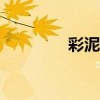 彩泥小猪教案（彩泥小猪）