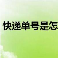 快递单号是怎么看（快递单号是什么在哪看）